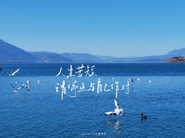 期末不挂科 | 蜂考高斯课堂数字电子技术/数电不挂科-青椰小屋