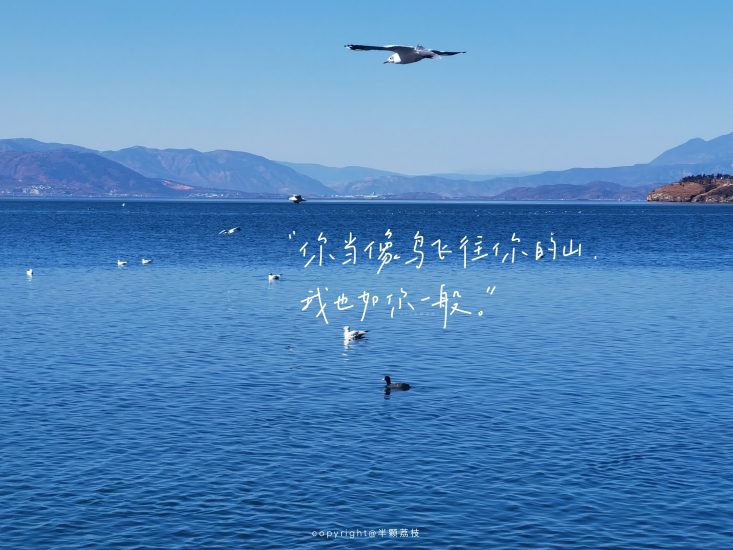 公考 | 2024年公考面试袁东面试领跑营网课资源 百度云-青椰小屋