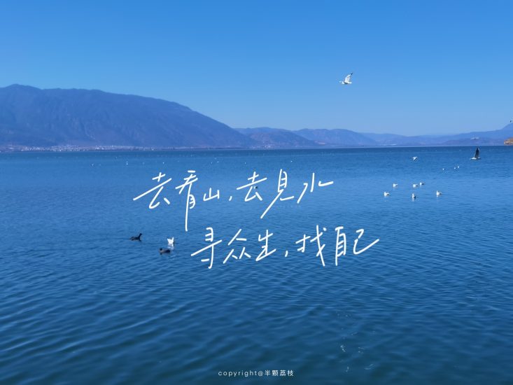 考研 | 2025考研数学杨超全程班网课资源 百度云-青椰小屋