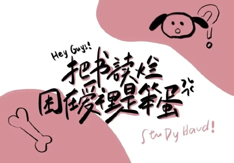 公考 | 2024省考大懒猫言语刷题课网课资源 百度云-青椰小屋