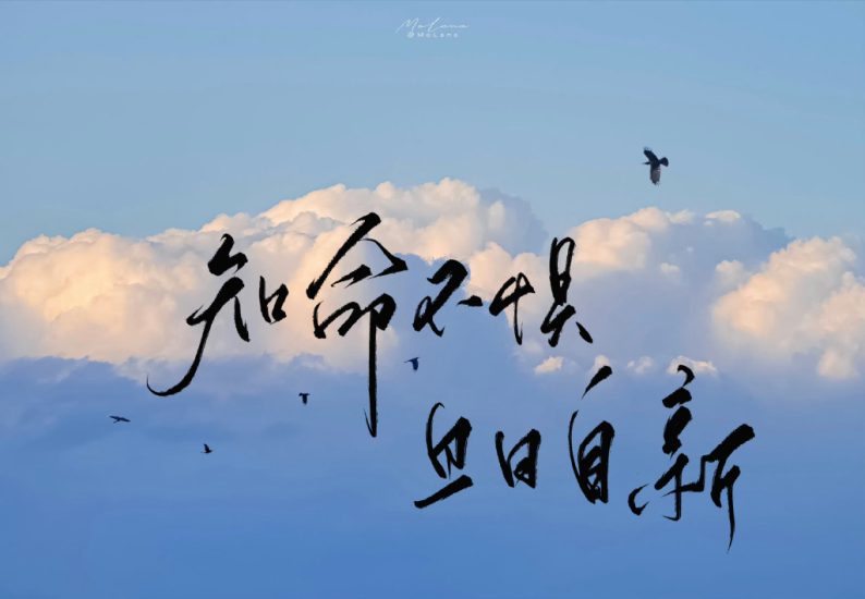 考研 | 2024考研英语晶婷老师作文弟子班网课资源 百度云-青椰小屋