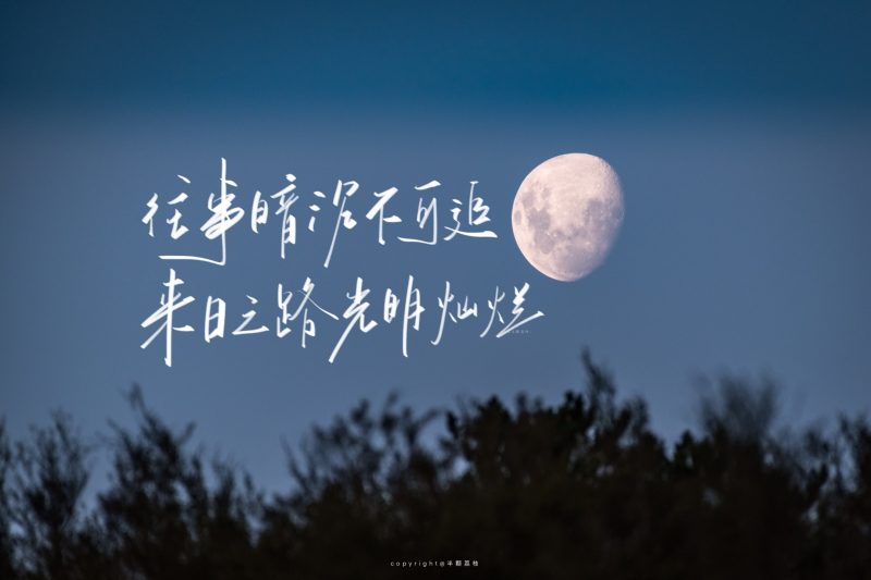 教资 | 小学教师资格证笔试历年真题pdf及答案解析-青椰小屋