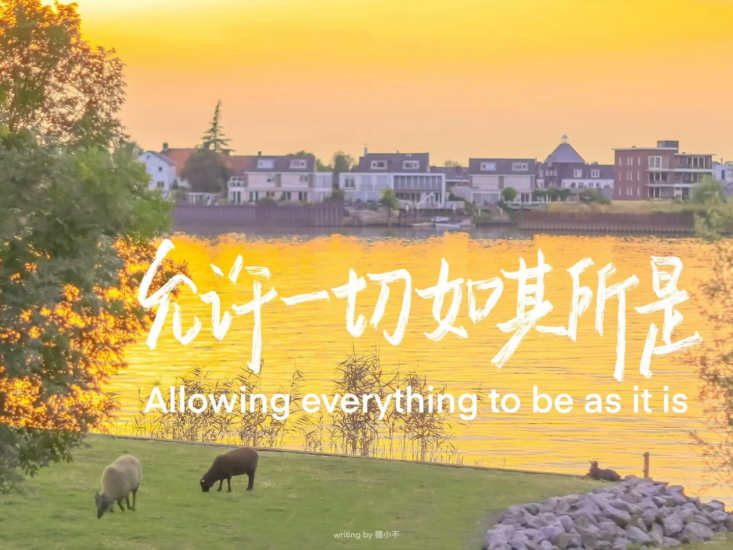 公考 | 2024年公考老吴公考申论作文火箭班（15个大招破解议论文）网课资源百度云-青椰小屋