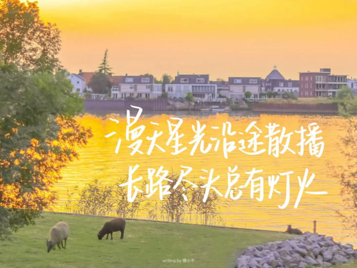 公考 | 西藏公务员考试历年真题(行测+申论)PDF电子版免费分享-青椰小屋