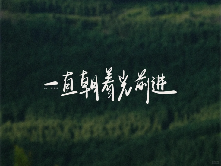 公考 | 2024年公考柳岩联考逻辑填空刷题冲刺早读网课资源百度云-青椰小屋