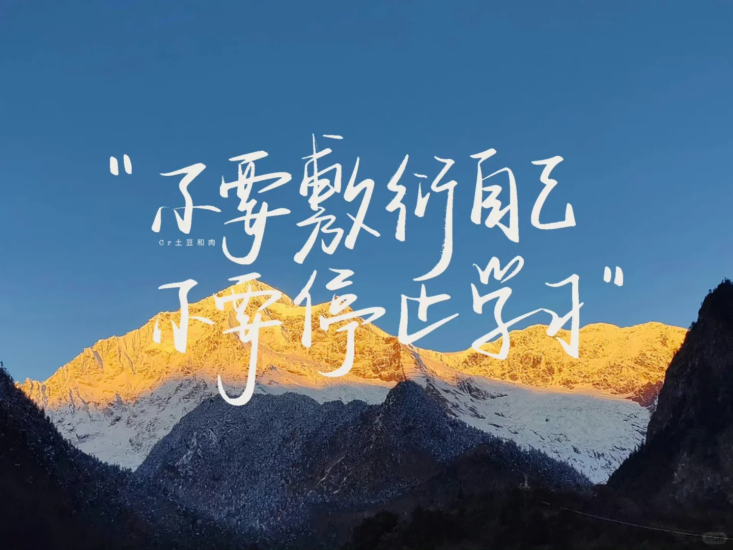 公考 | 2024年公考笨鸟广东公安申论全程班网课资源百度云-青椰小屋