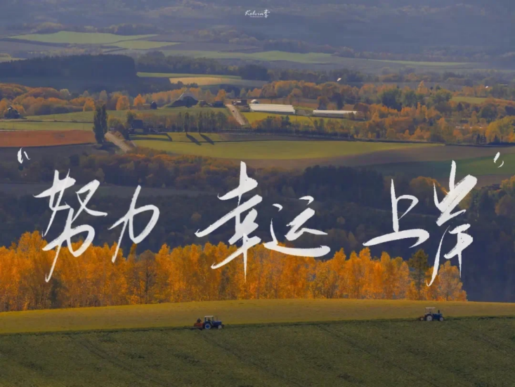 考研 | 2025考研政治火星姐全程班网课资源 百度云 更新中-青椰小屋