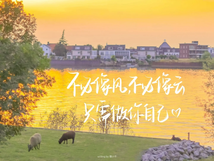 考研 | 2025考研英语屠皓民全程班网课资源 百度云 持续更新中-青椰小屋