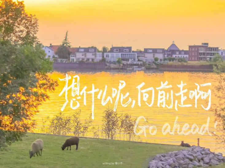 公考 | 福建省公务员考试历年真题（行测+申论）PDF电子版免费分享-青椰小屋