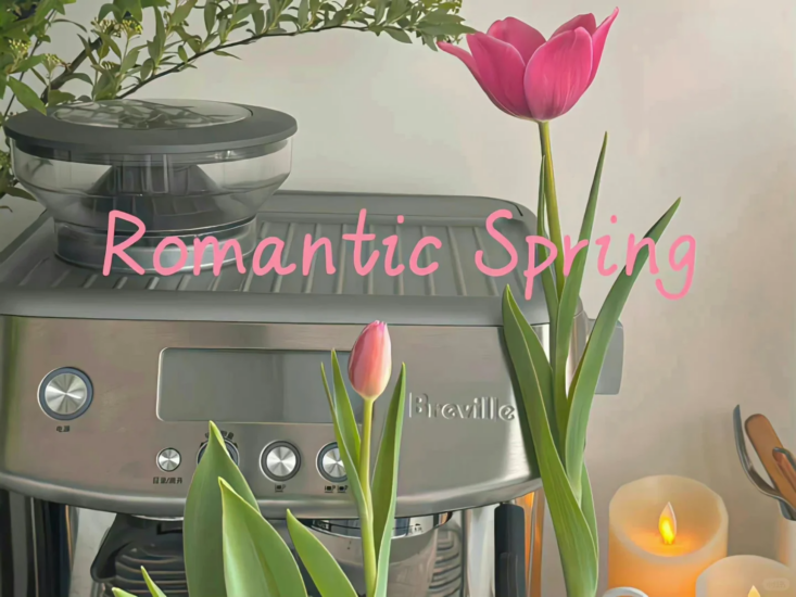 考研 | 2025考研英语边明锐全程班网课资源 百度云 持续更新中-青椰小屋