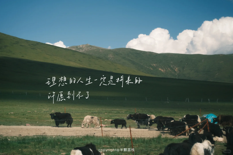 期末不挂科 | 蜂考高斯课堂有机化学3.5小时速成课-青椰小屋