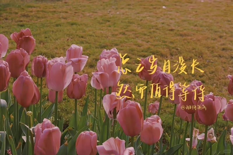 公考 | 湖北省公务员考试历年真题(行测+申论)PDF电子版免费分享-青椰小屋