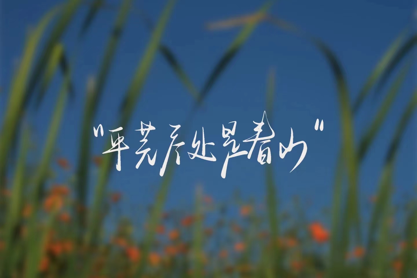 青椰小屋