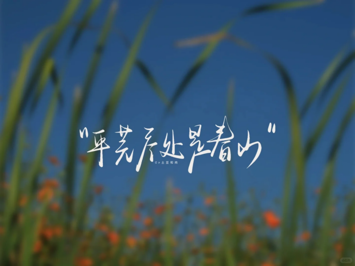 考研 | 2026考研数学方浩全程班网课资源 百度云-青椰小屋