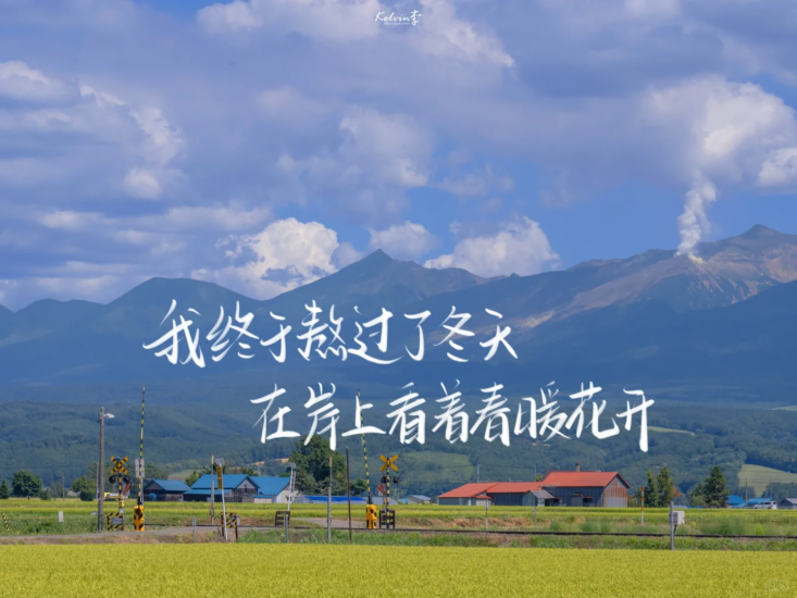 考研 | 2026考研数学姜晓千660题精讲（数一二三通用）网课资源 百度云-青椰小屋