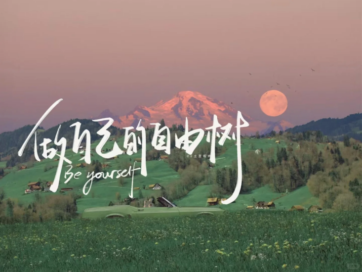 考研 | 2025考研数学周洋鑫《大纲精讲一本通》无水印pdf电子版免费分享-青椰小屋