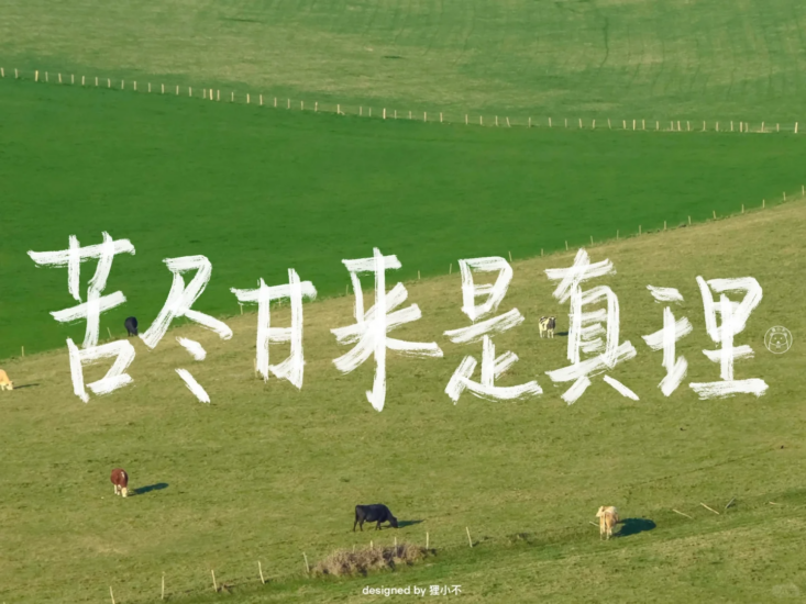 考研 | 2025考研政治李丽双全程班网课资源 百度云 持续更新中-青椰小屋