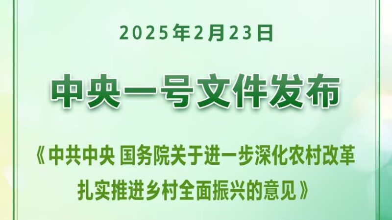 公考 | 2025年中央一号文件全文发布-青椰小屋